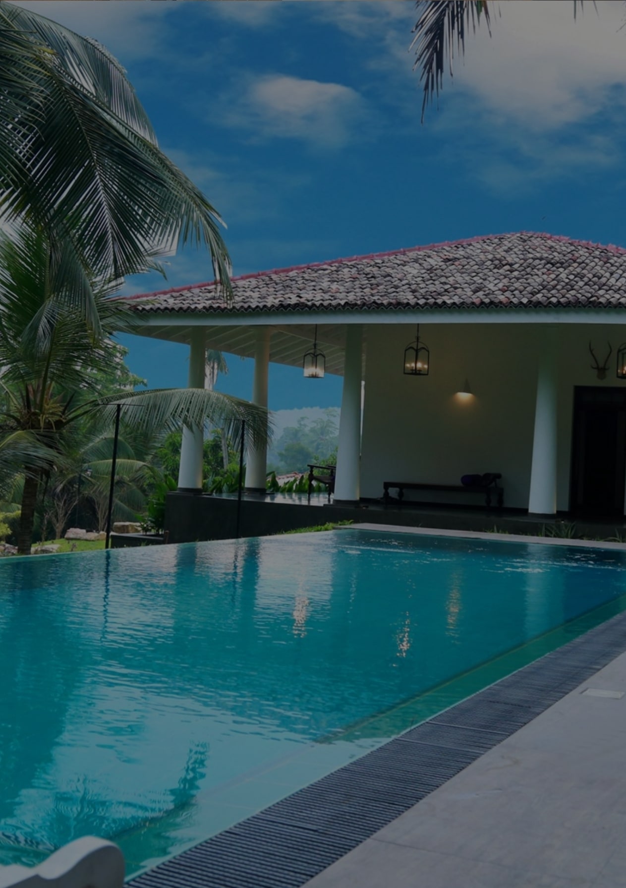 Swimming Pools & Landscape